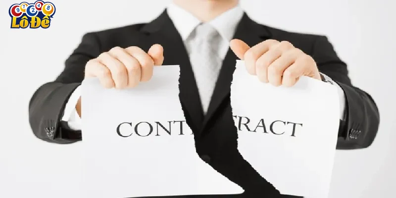 cac-dieu-khoan-pho-bien-trong-mien-tru-trach-nhiem-lo-de Các điều khoản phổ biến trong miễn trừ trách nhiệm Lô đề