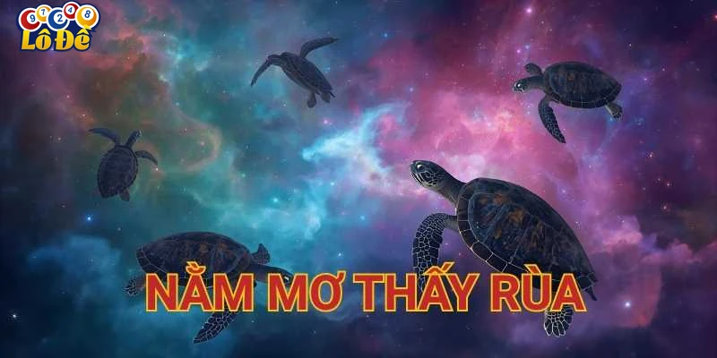 Giải mã các biểu tượng trong giấc mơ thấy rùa