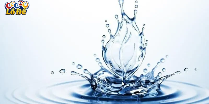 Lưu ý khi áp dụng giấc mơ vào cá cược và các nguồn tham khảo đáng tin cậy