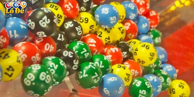 Cập nhật thông tin và nguồn tin cậy